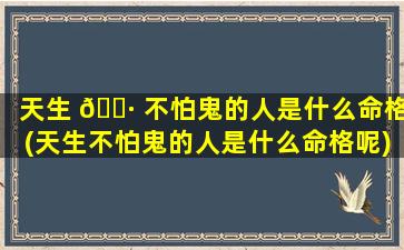 天生 🌷 不怕鬼的人是什么命格(天生不怕鬼的人是什么命格呢)